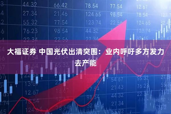大福证券 中国光伏出清突围：业内呼吁多方发力去产能