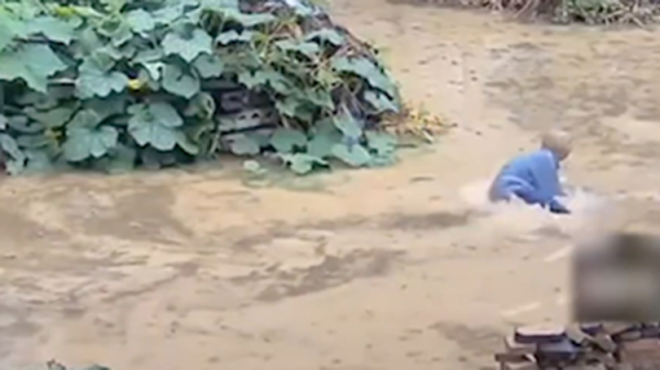 惠红网 老人摔倒在水中，民警未搀扶？免职！