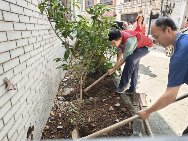 中鑫优配 党群共建绿美家园！番禺区市桥街禺山社区“1号服务日”植绿添美
