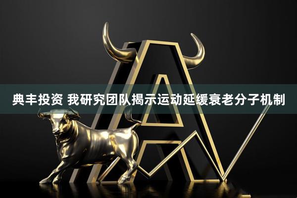 典丰投资 我研究团队揭示运动延缓衰老分子机制