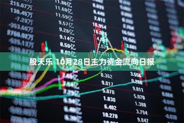 股天乐 10月28日主力资金流向日报